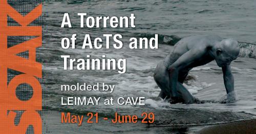 SOAK:<br />A torrent of AcTS and Training molded by LEIMAY at CAVE
